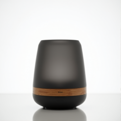 AromaLux Executive Home Diffuser